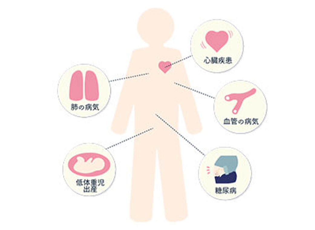 全身の健康との関係